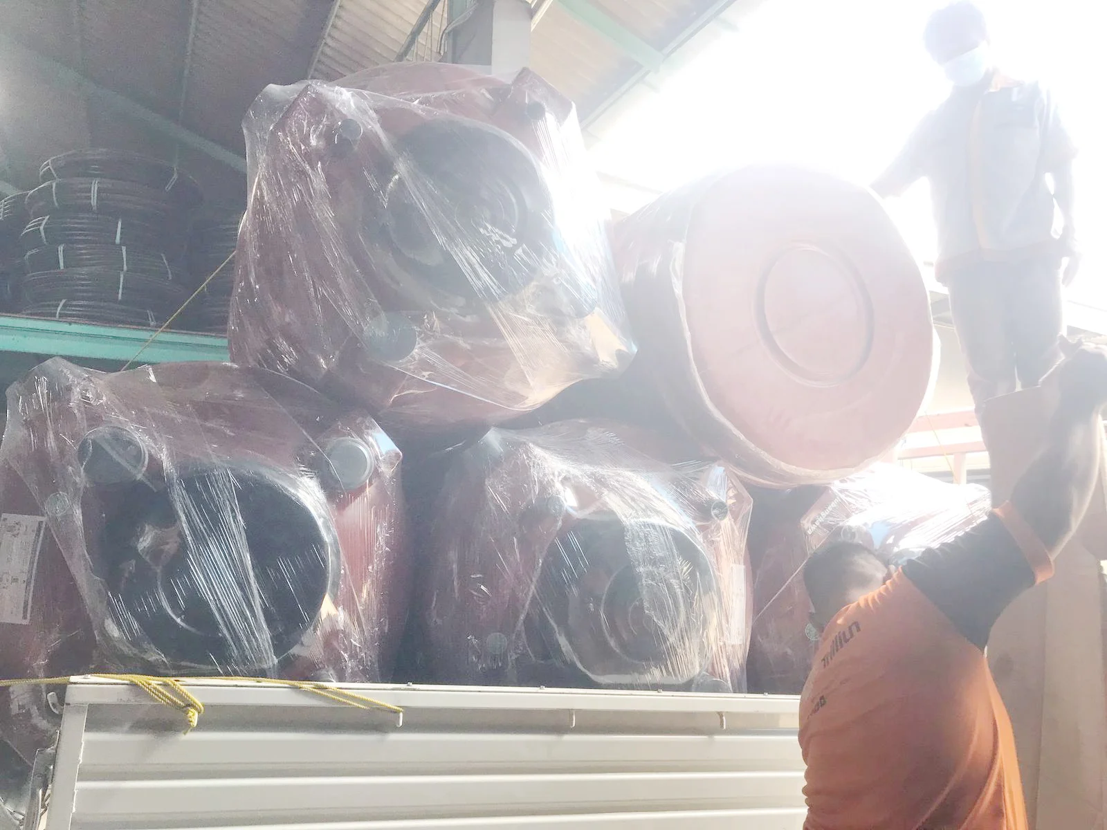 Dokumentasi BIOVISI 4